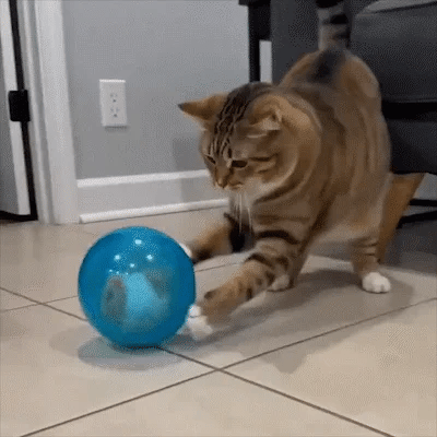 🔥💓LAST DAY 50% OFF ✨ Self-Rolling Interactive Cat Ball