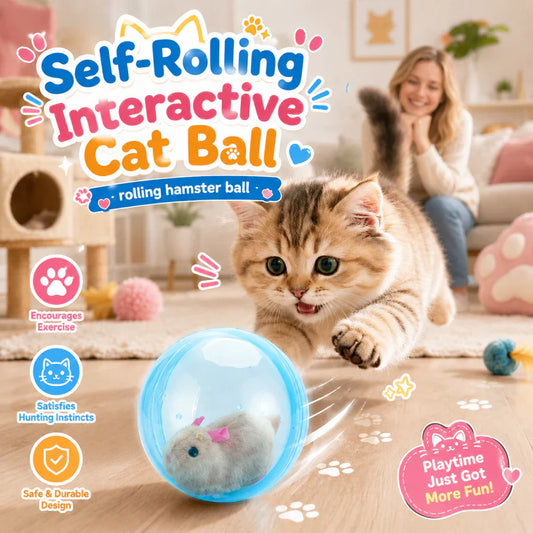 🔥💓LAST DAY 75% OFF ✨ Self-Rolling Interactive Cat Ball