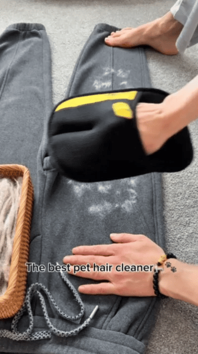 Pet Fur Remover