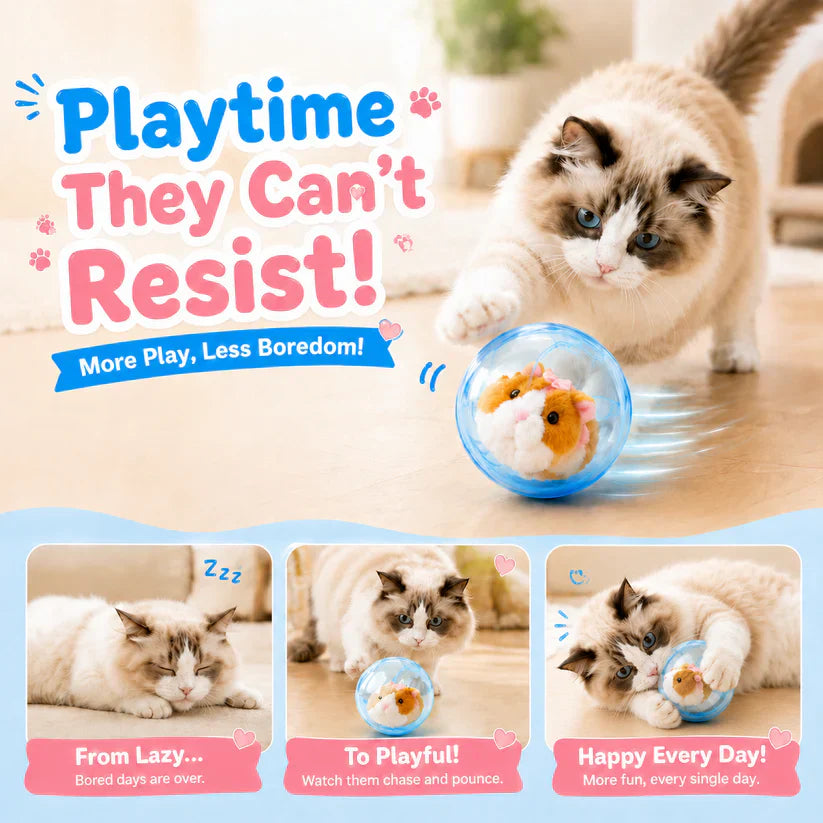 🔥💓LAST DAY 50% OFF ✨ Self-Rolling Interactive Cat Ball