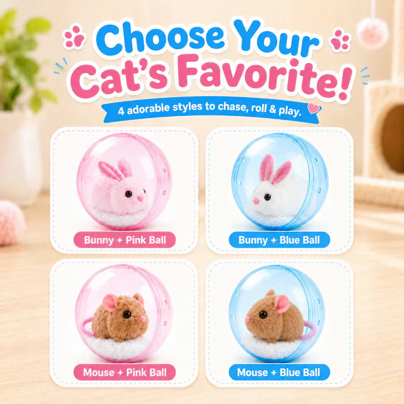 🔥💓LAST DAY 50% OFF ✨ Self-Rolling Interactive Cat Ball
