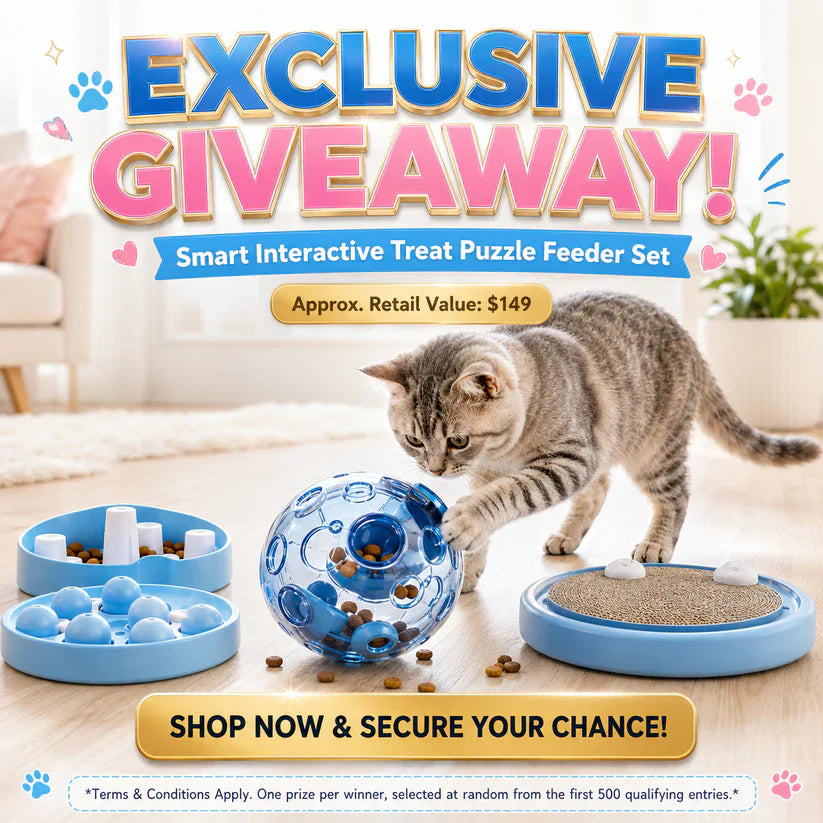 🔥💓LAST DAY 50% OFF ✨ Self-Rolling Interactive Cat Ball