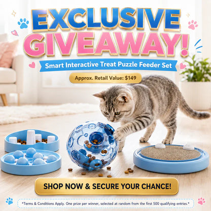 🔥💓LAST DAY 50% OFF ✨ Self-Rolling Interactive Cat Ball