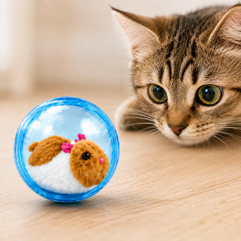 🔥💓LAST DAY 50% OFF ✨ Self-Rolling Interactive Cat Ball