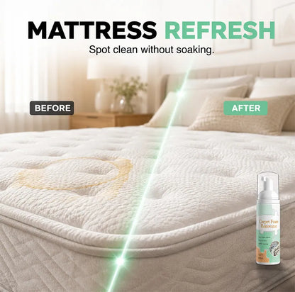 🔥LAST DAY 50% OFF ✨ Waterless Carpet Foam Stain Remover with Towel