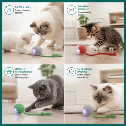 Junazilo® Interactive Play Ball With Tail For Cats