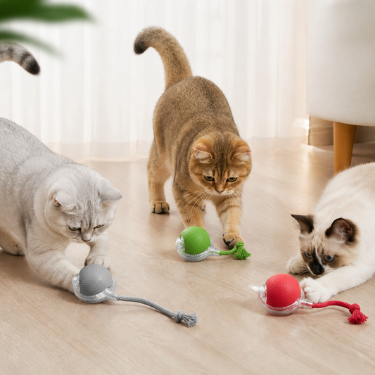 Interactive Play Ball With Tail For Cats