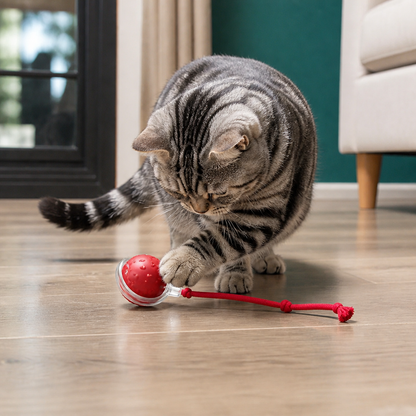 Junazilo® Interactive Play Ball With Tail For Cats