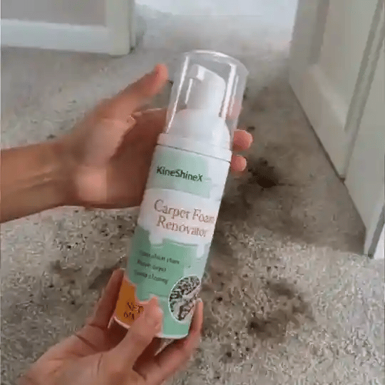🔥LAST DAY 50% OFF ✨ Waterless Carpet Foam Stain Remover with Towel