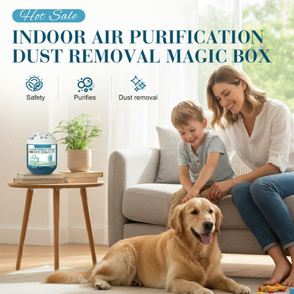 🔥Limited-Time Pre-Sale⏰IVOSOMA® Indoor Air Purification Dust Removal Magic Box🏠🌿