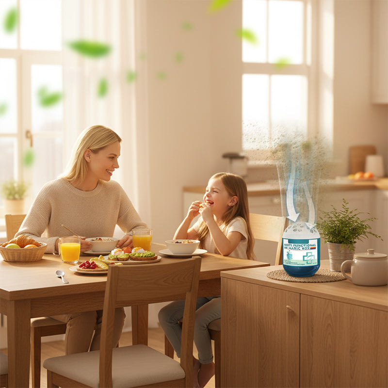 🔥Limited-Time Pre-Sale⏰IVOSOMA® Indoor Air Purification Dust Removal Magic Box🏠🌿